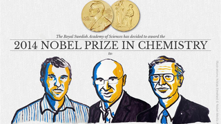 Nobel de Química a Betzig, Hell y Moerner, creadores del nanoscopio